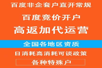 SEM竞价优化策略：成功案例解析