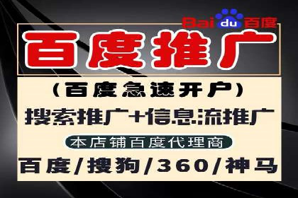 SEM优化策略：打造高效广告投放案例
